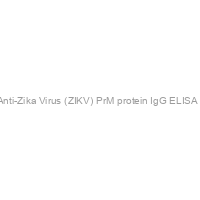 Recombivirus? Monkey Anti-Zika Virus (ZIKV) PrM protein IgG ELISA kit, 96 tests, Quantitative
